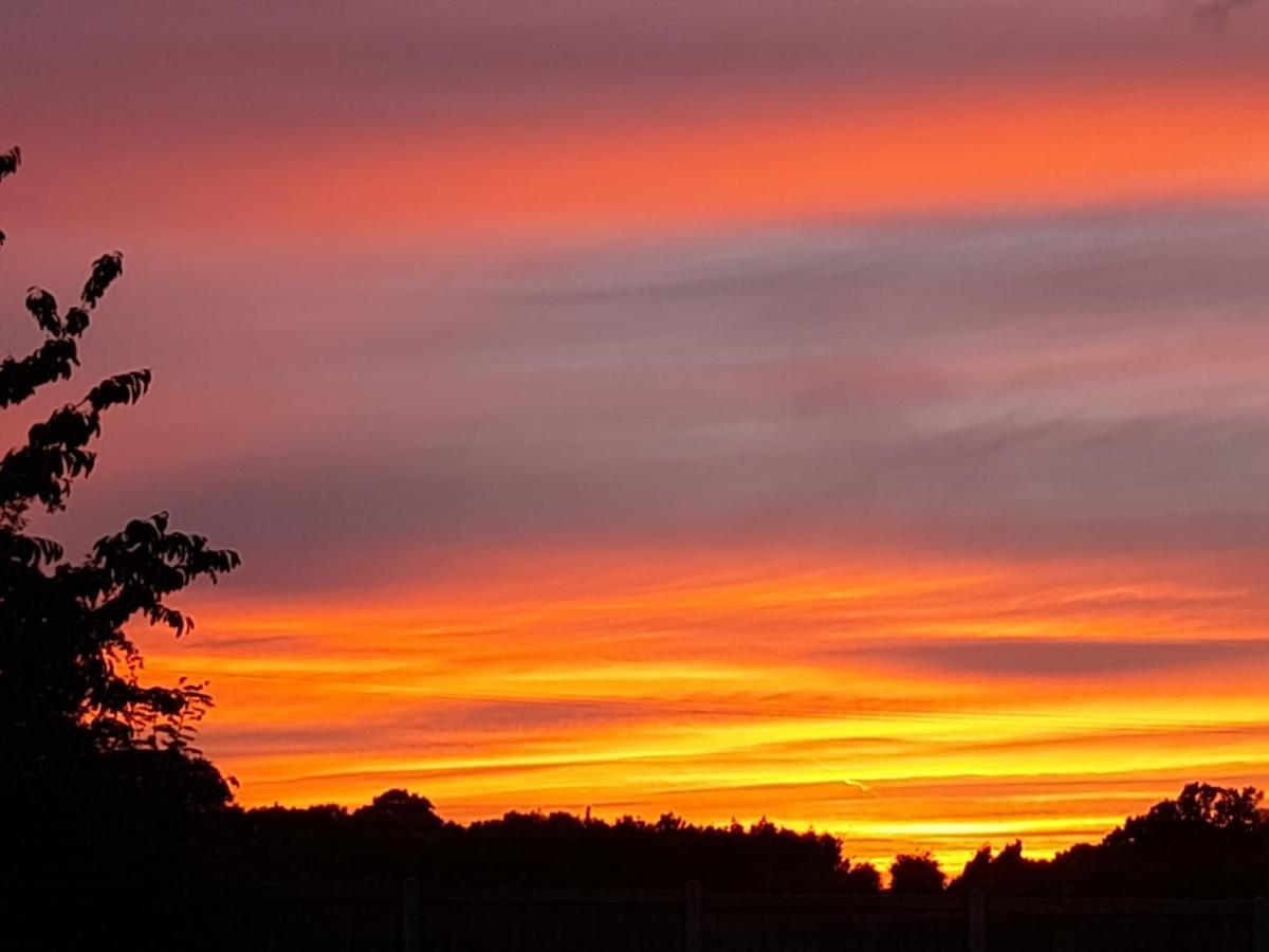 Hawarden Near Chester المظهر الخارجي الصورة